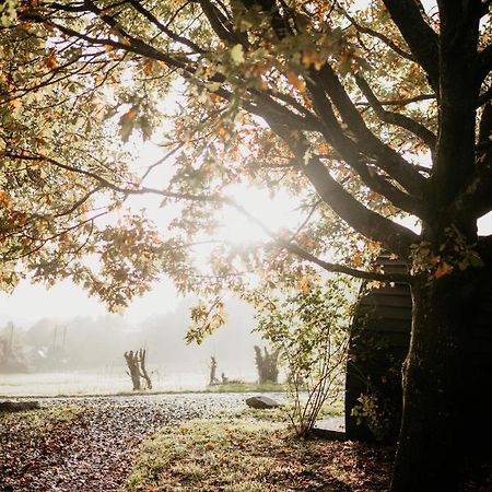 Caplor Glamping & Lodges Hereford Eksteriør billede