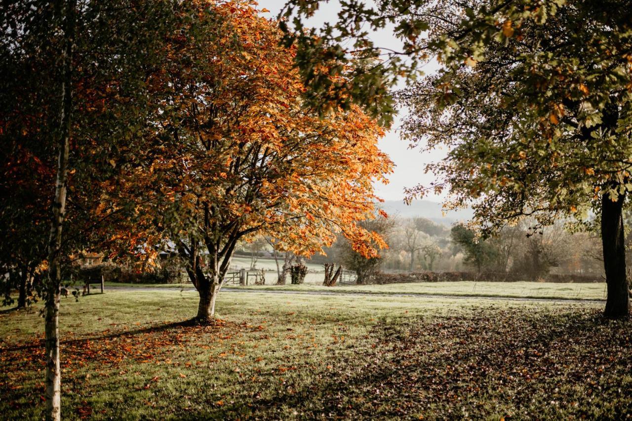 Caplor Glamping & Lodges Hereford Eksteriør billede