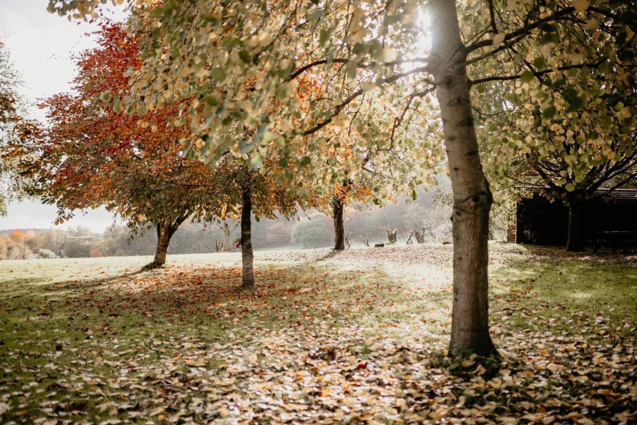 Caplor Glamping & Lodges Hereford Eksteriør billede