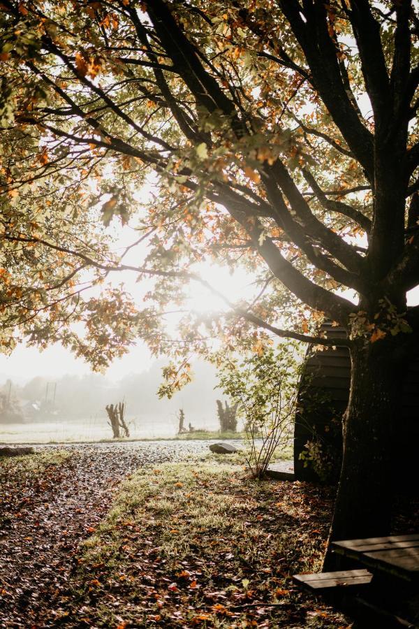 Caplor Glamping & Lodges Hereford Eksteriør billede